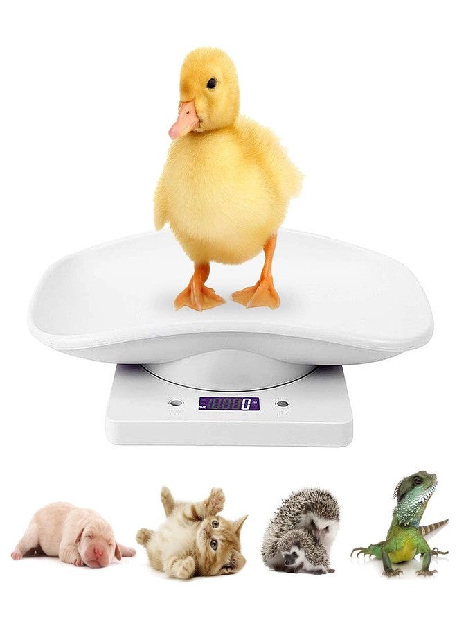 LFGKeng Digital Mini Pet Scale, Small Animal Weight Scale, Portable LCD Electronic Weighing Scale with Tray(Max. 22 lbs), Multifunction Kitchen Scale for Food/Puppy/Kitten/Lizard/Hamster/Tortoise/Whelping - Image 1